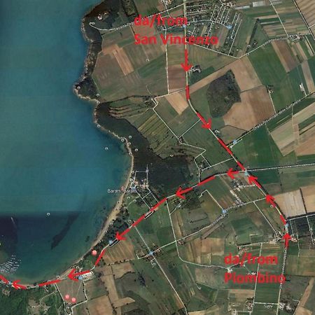 I Fiori Nel Golfo Di Baratti Leilighet Eksteriør bilde